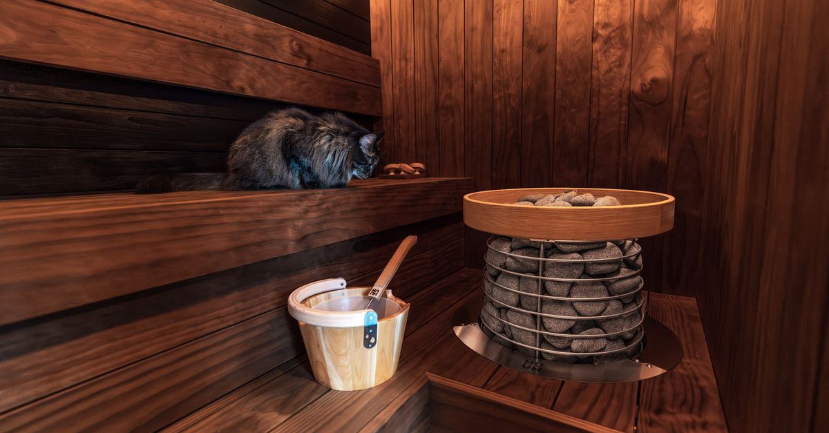 New Luxury Cat Boarding Facility Opens in Las Vegas, Redefining Pet Care