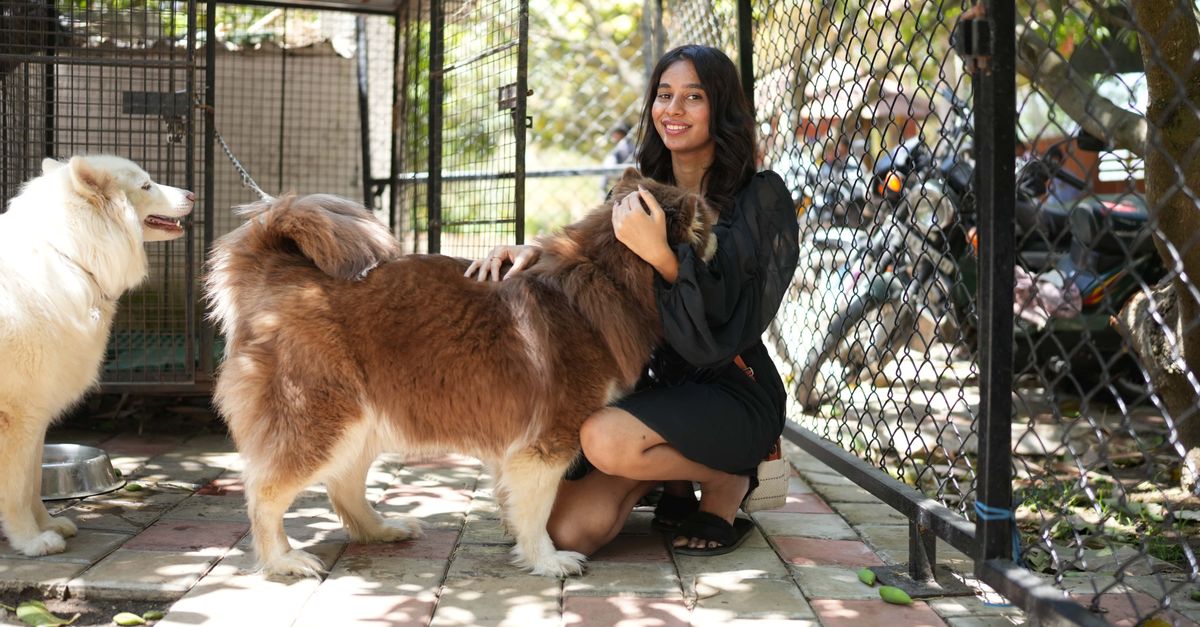 The Ultimate Guide to Dog Resorts, Cat Boarding, and Daycare in Las Vegas