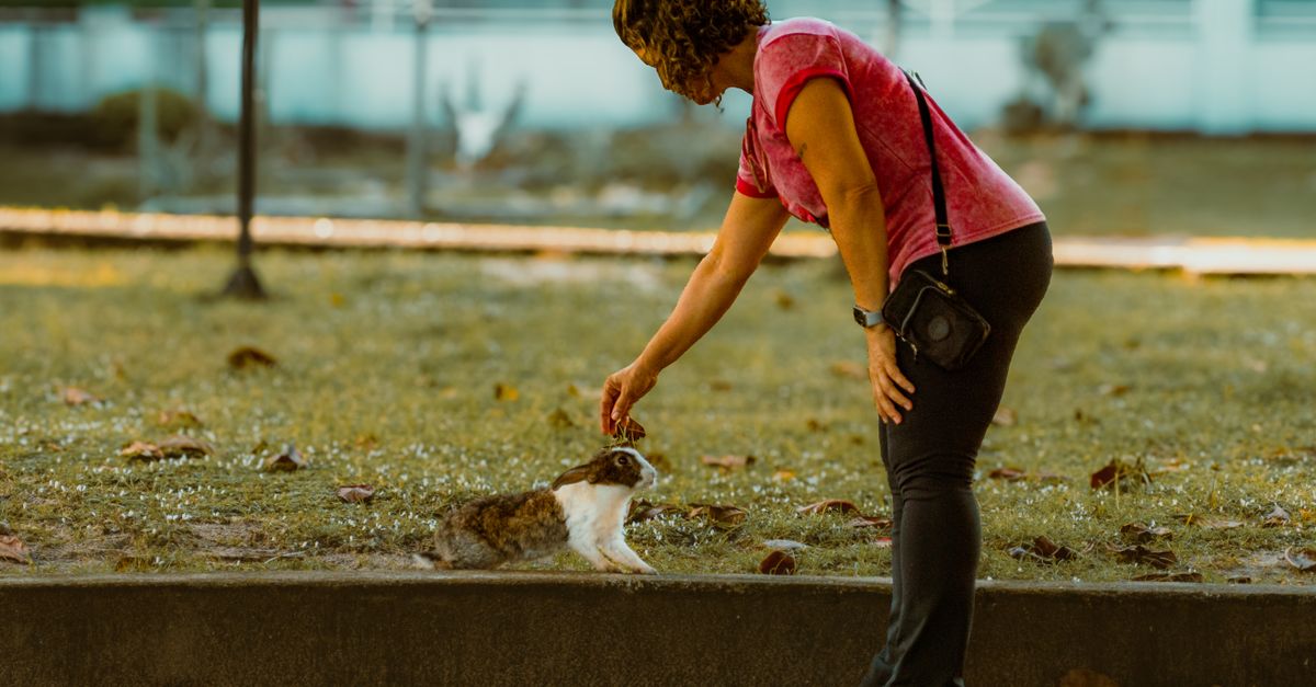 How do I choose a pet vacation care provider for my dog in Las Vegas?