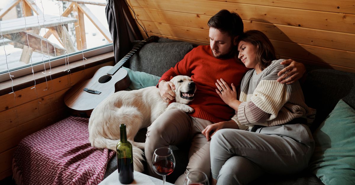 How do I find comfortable private pet suites for dog boarding near me?