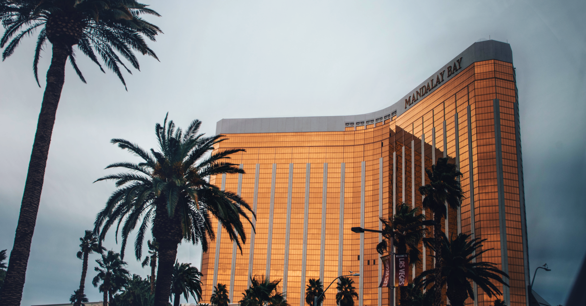 How to Find a Las Vegas Dog Boarding Facility That Also Offers Nail Care & Private Cat Suites?
