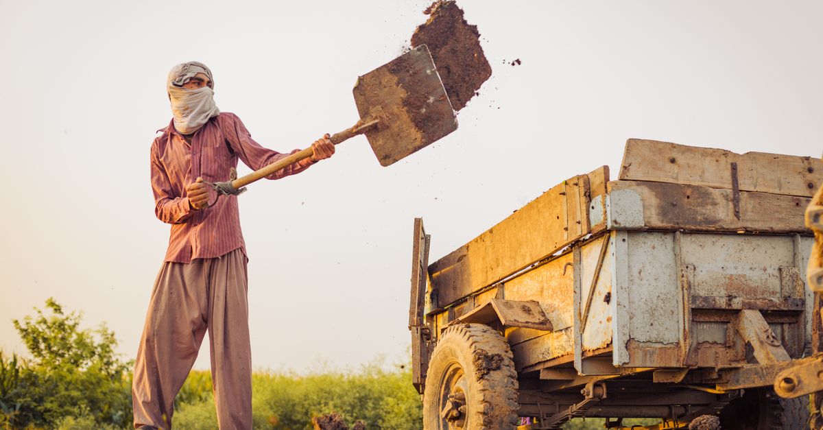 An adult male worker shoveling soil into a cart in an outdoor rural setting.