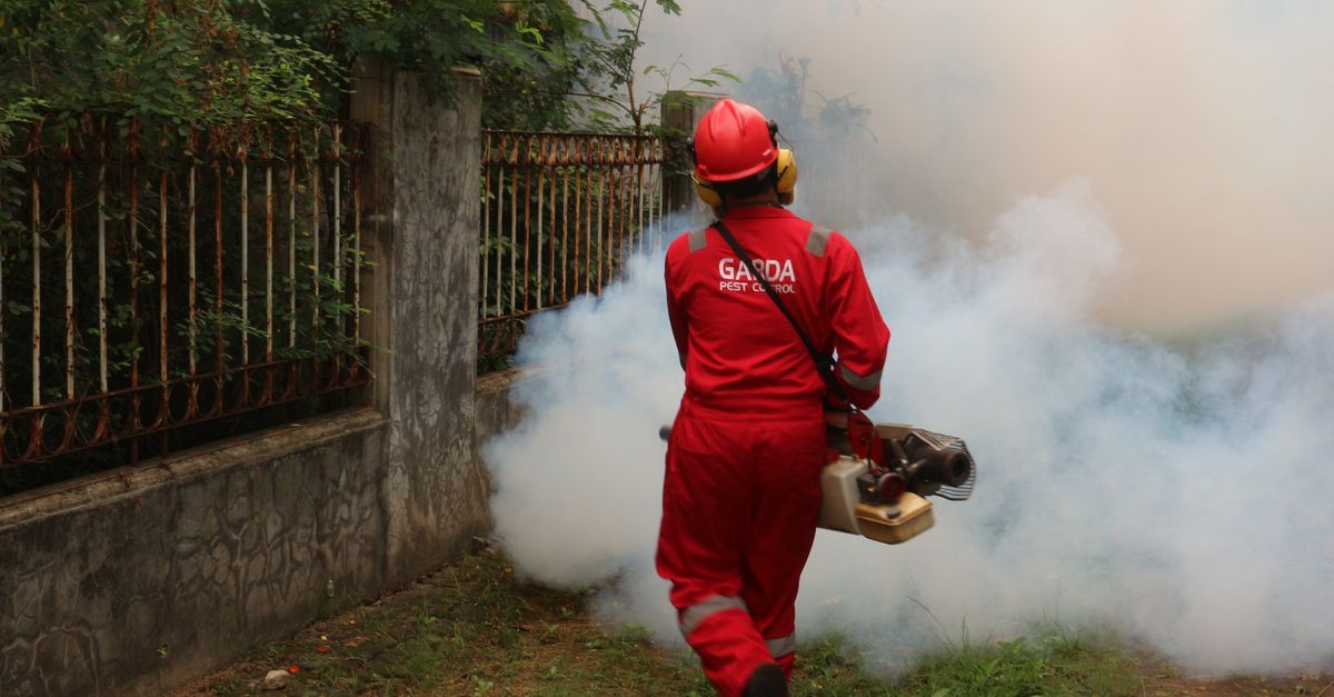 A pest control worker fogging in an outdoor space with smoke to eliminate pests.