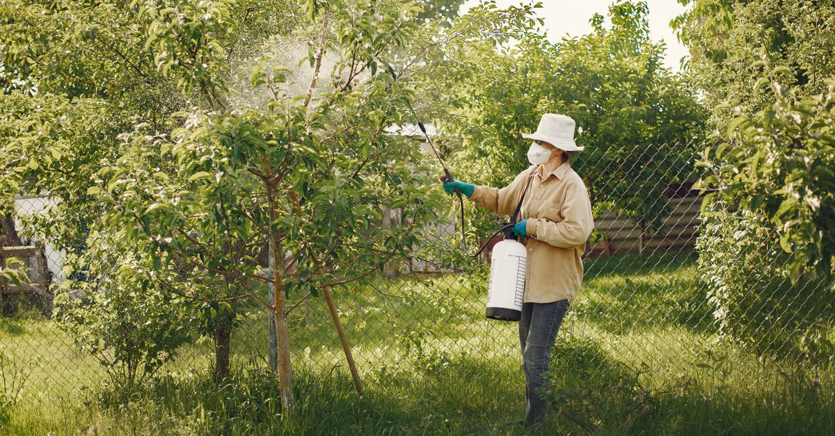 Woman in protective gear spraying pesticides on garden trees with a spray bottle.