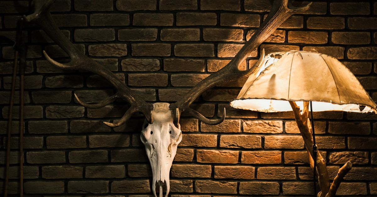 Antler skull on brick wall under warm lamp, rustic indoor decor in Turkiye.