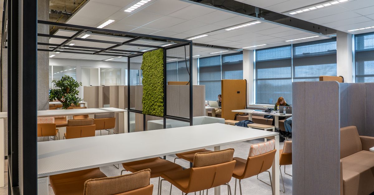 A spacious coworking office featuring modern design and natural decor elements for a collaborative environment.