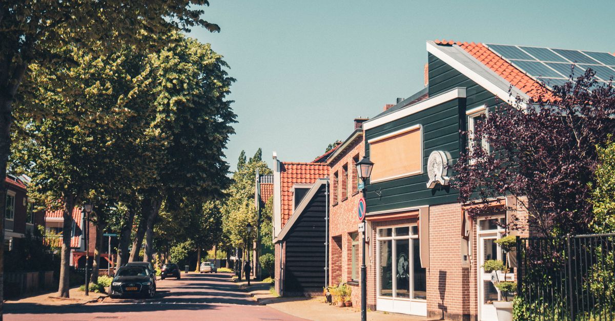 A sunny residential street in Zaandam, showcasing charming architecture and tree-lined avenues.