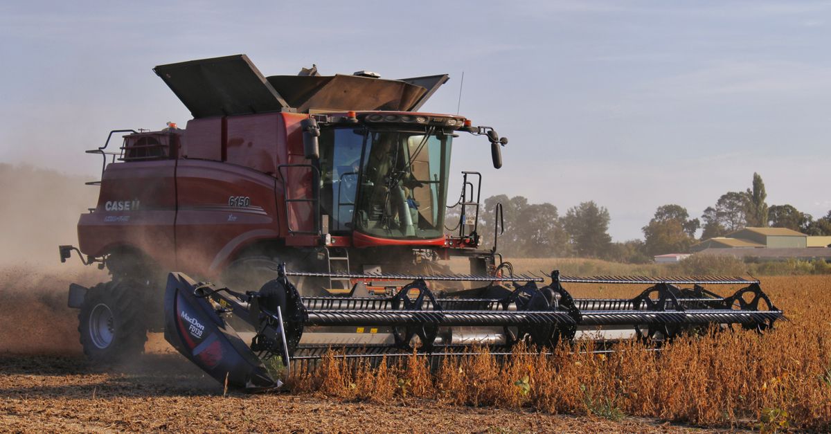 A combine harvester working in a soybean field in Hobol, Hungary during daytime.