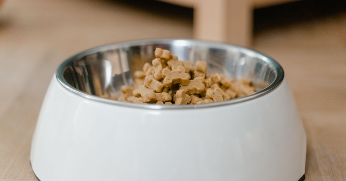 A stainless steel dog bowl filled with dry dog treats on a wooden floor.