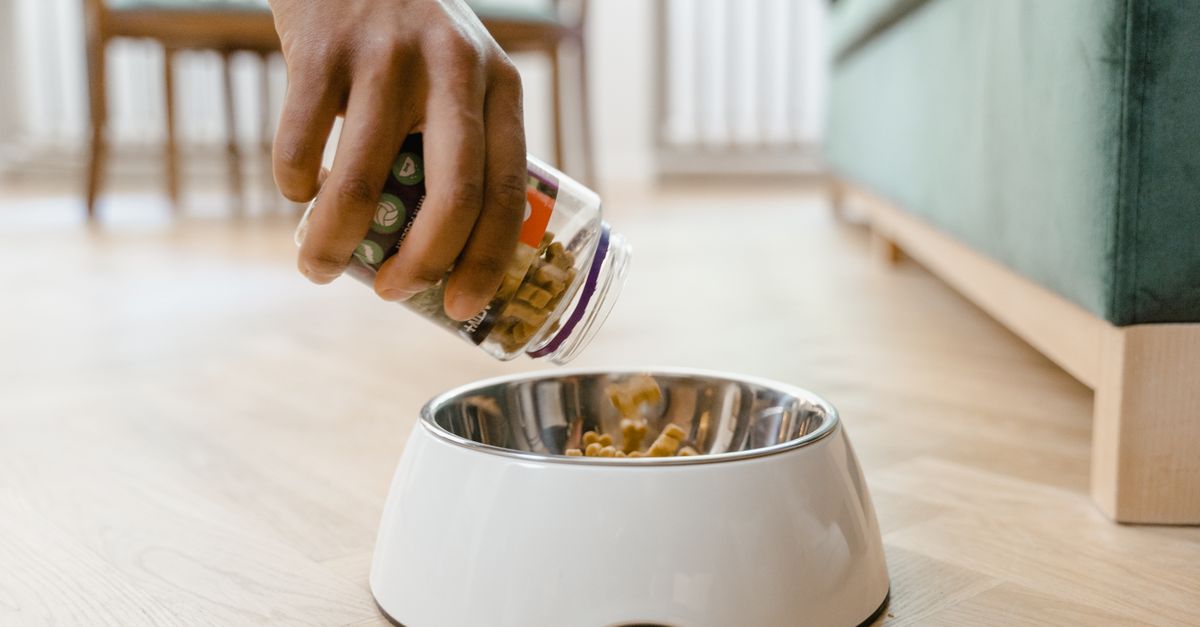 Close-up of a hand pouring dog food from a container into a white dog bowl on a wooden floor indoors.