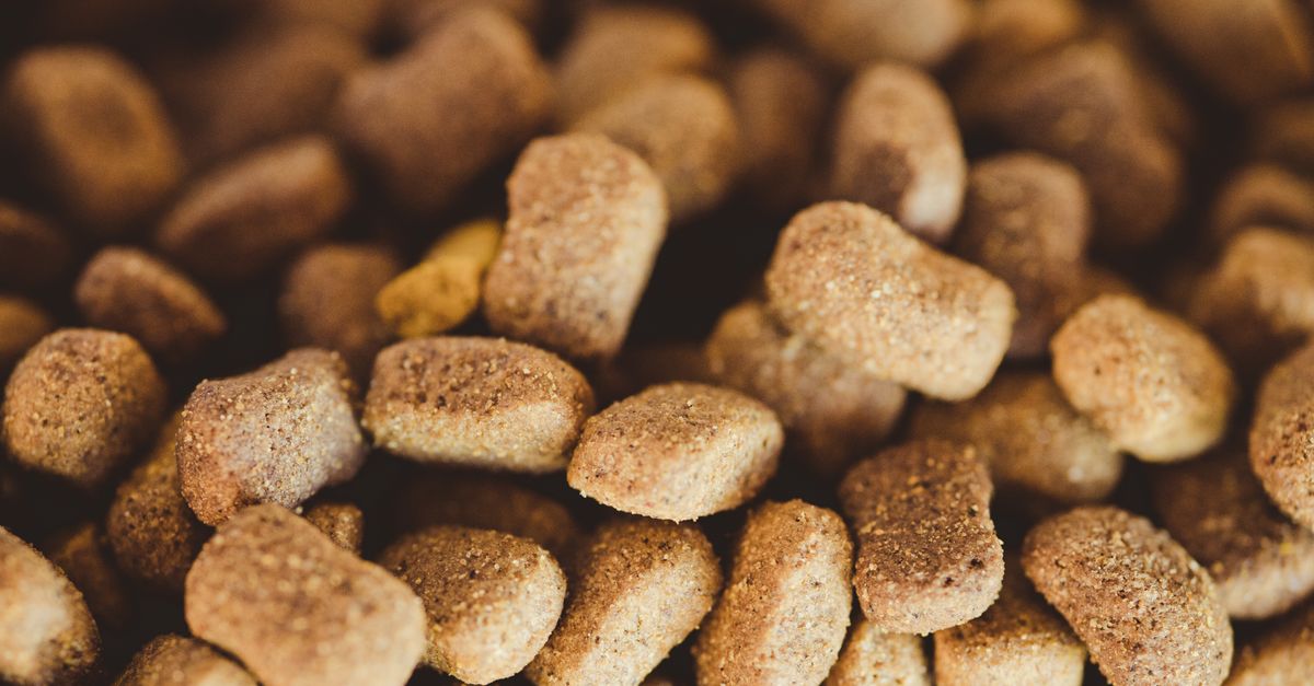 A close-up view of brown dog kibble, highlighting texture and variety.