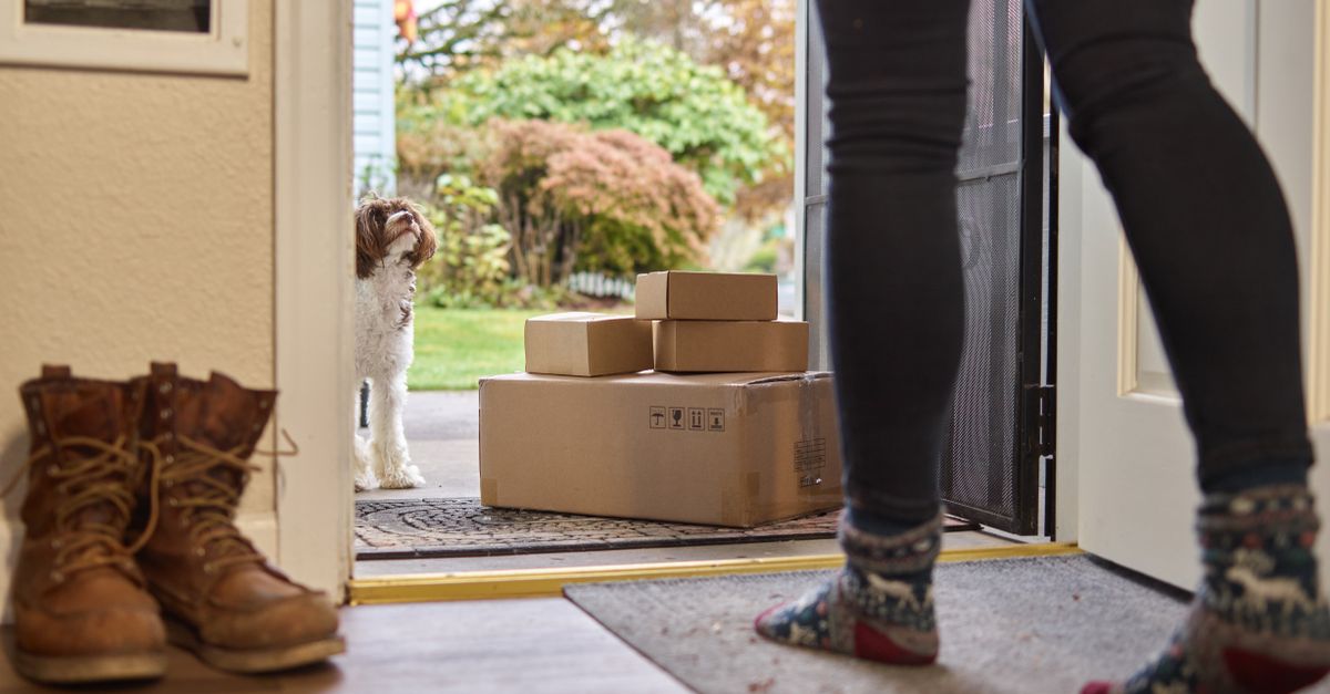A woman opens the door to find delivery boxes with a curious dog outside.