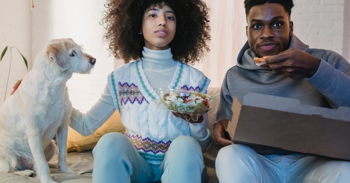 Young black female owner with bowl of salad stroking curious dog while resting on cozy sofa with boyfriend eating takeaway pizza and watching TV at home