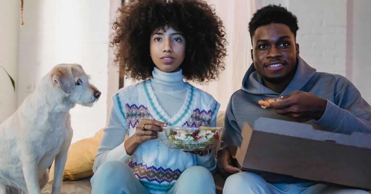 Concentrated young African American couple with curly hairs in casual outfits eating takeaway salad and pizza while watching TV sitting on sofa near cute purebred dog