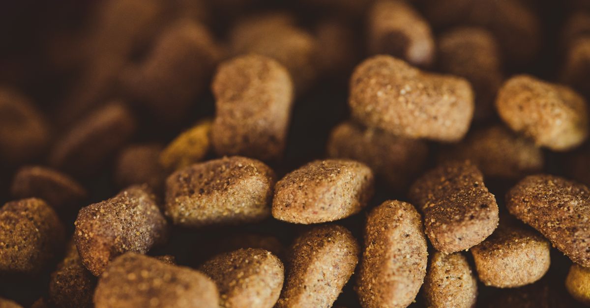 Detailed shot of brown dog kibble, perfect for pet owners and animal nutrition visuals.