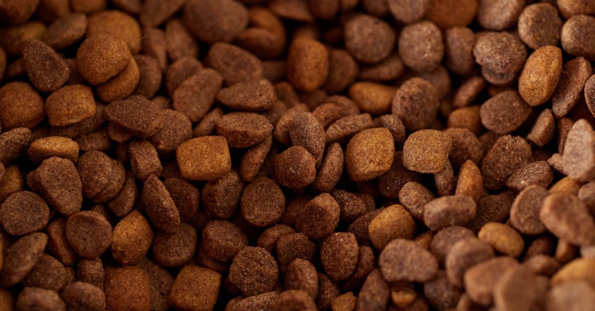 A detailed close-up of brown dry dog food kibble in various shapes and sizes.