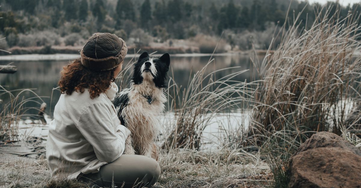 A woman and her dog enjoy a peaceful moment by a serene lake surrounded by nature.