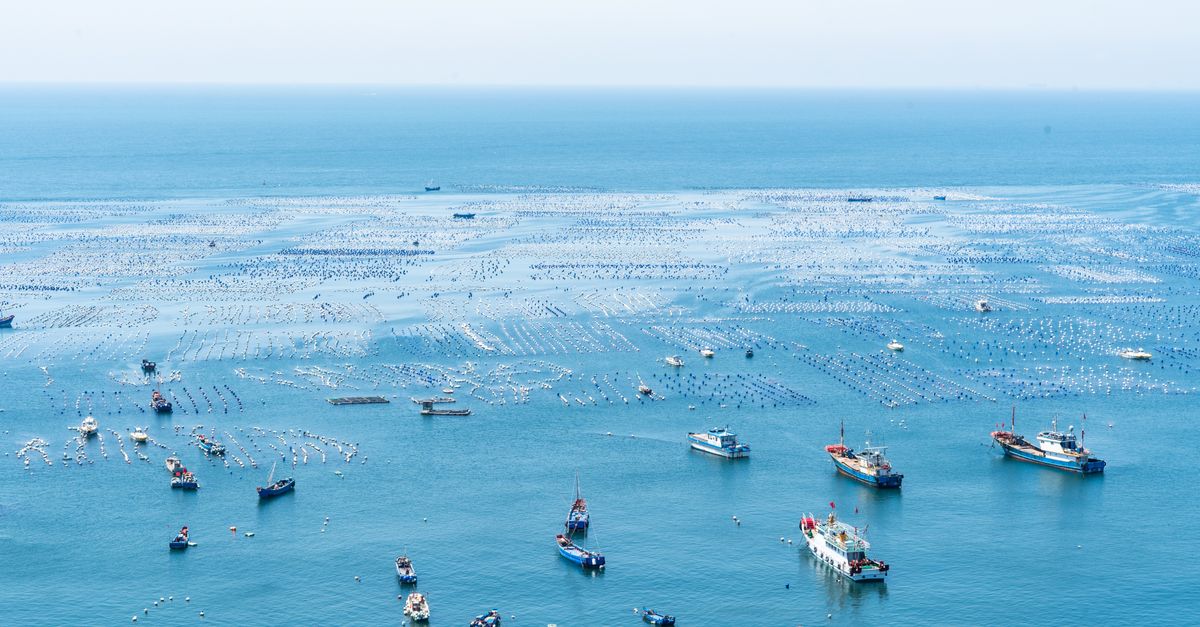 Aerial shot of fishing boats scattered on a serene blue ocean, ideal for marine and coastal themes.