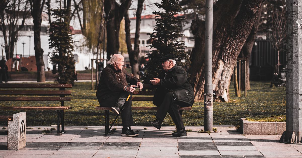 Two senior men chatting on a park bench surrounded by trees in an urban setting.