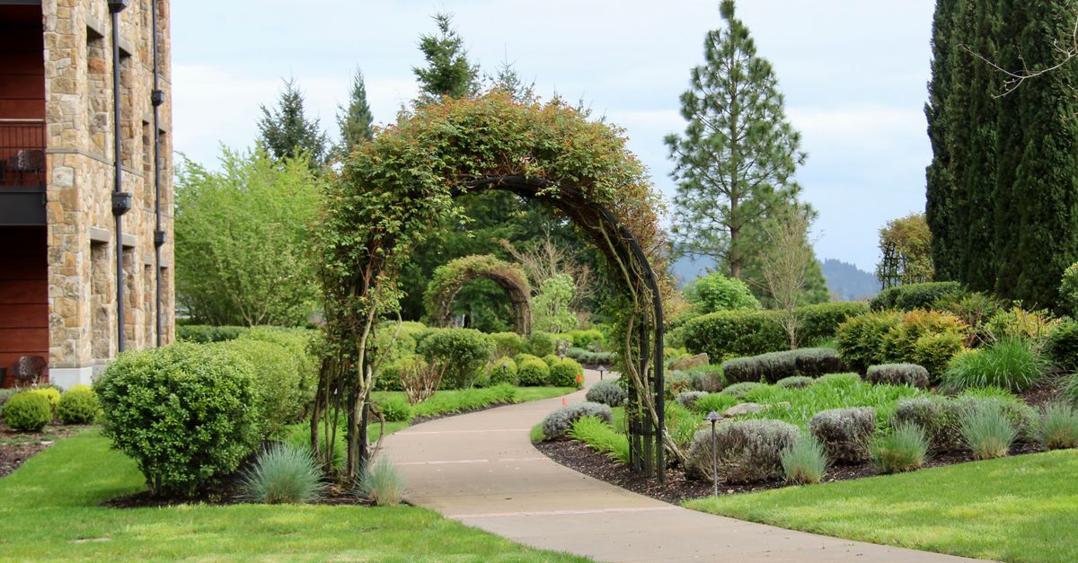 Beautiful garden path with vine archways and lush greenery.