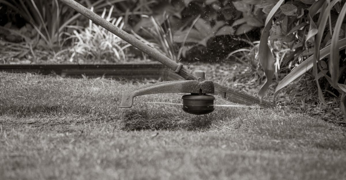 Close-up of a grass trimmer cutting the lawn with foliage background.