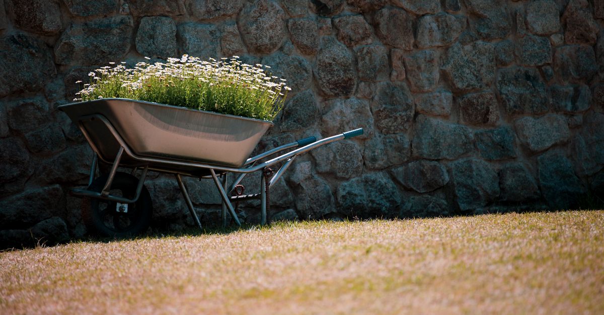 A rustic wheelbarrow filled with flowers rests against a stone wall in a grassy area, capturing a serene outdoor moment.