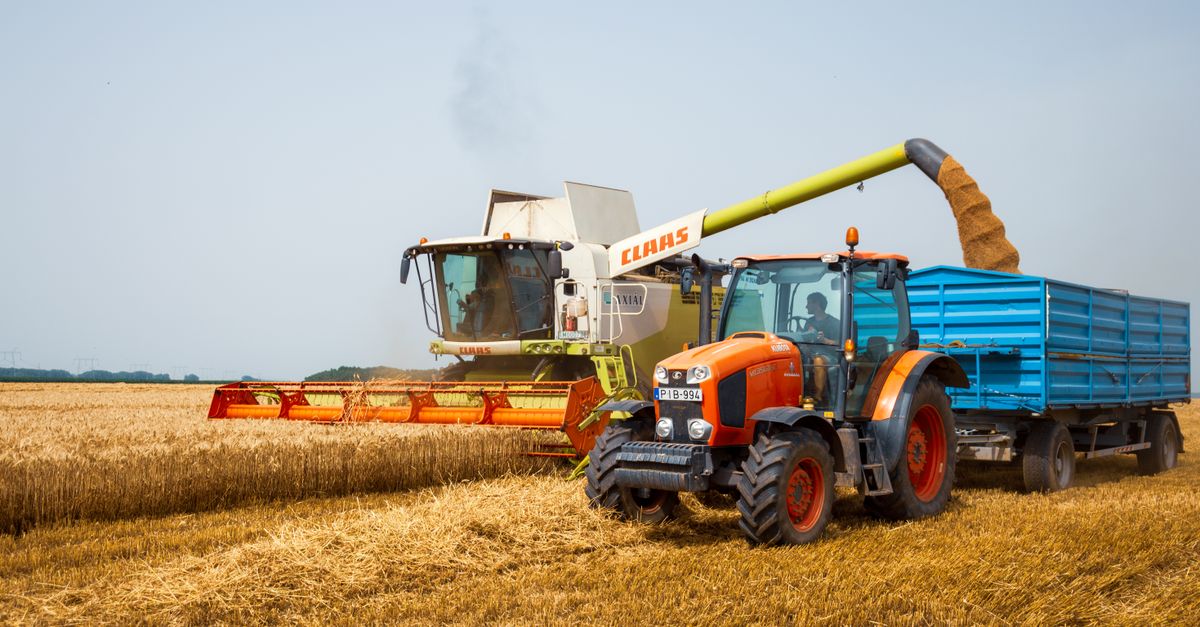 A modern tractor and harvester working in a wheat field during the summer harvest.