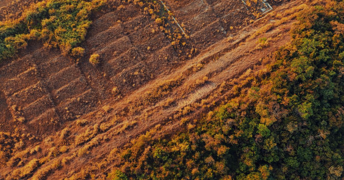 Aerial view of a dry landscape contrasted with lush green forest in Panama, showcasing autumn tones.