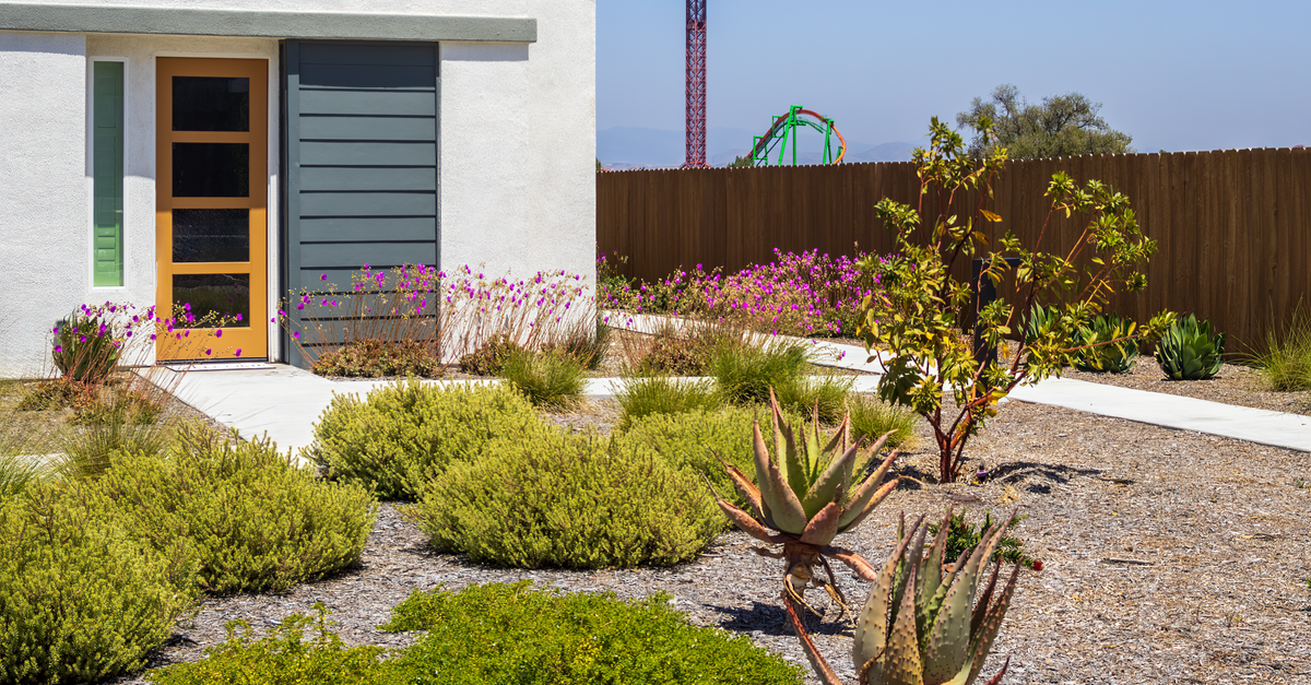 Contemporary garden with succulents and a distant amusement park view.