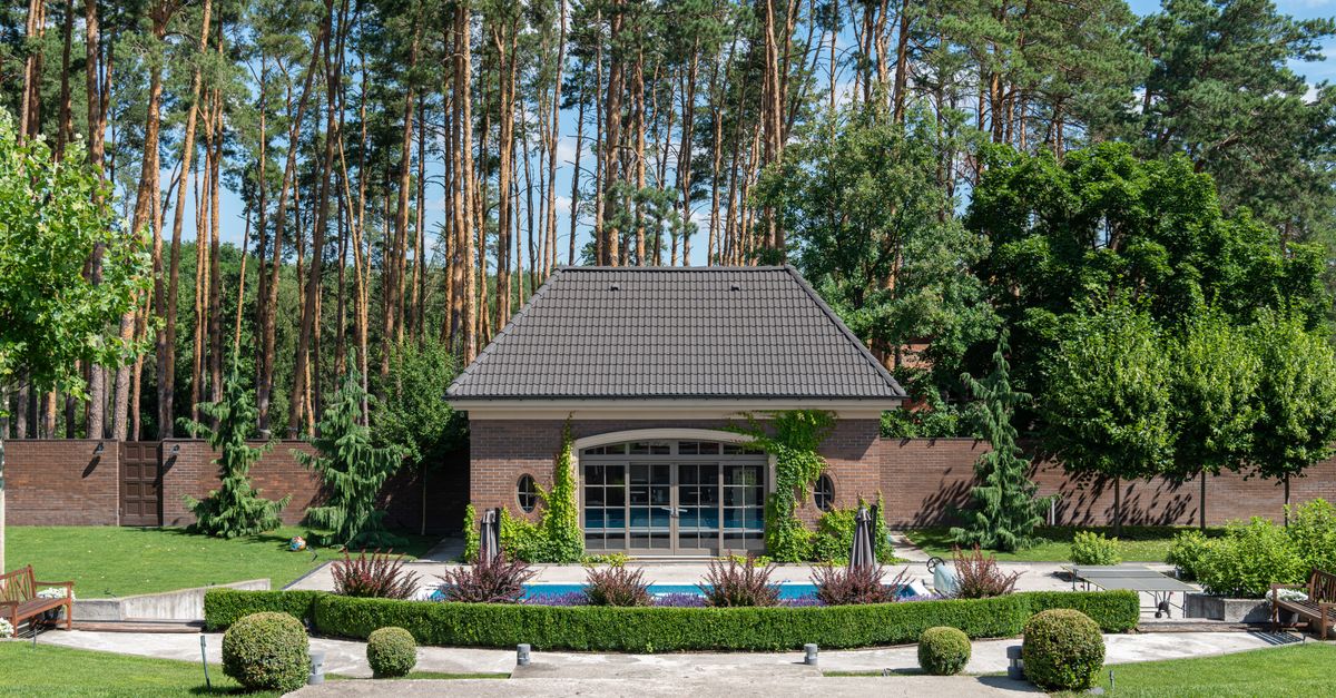 A modern shed overlooks a luxurious patio with a swimming pool, surrounded by lush greenery and tall trees.