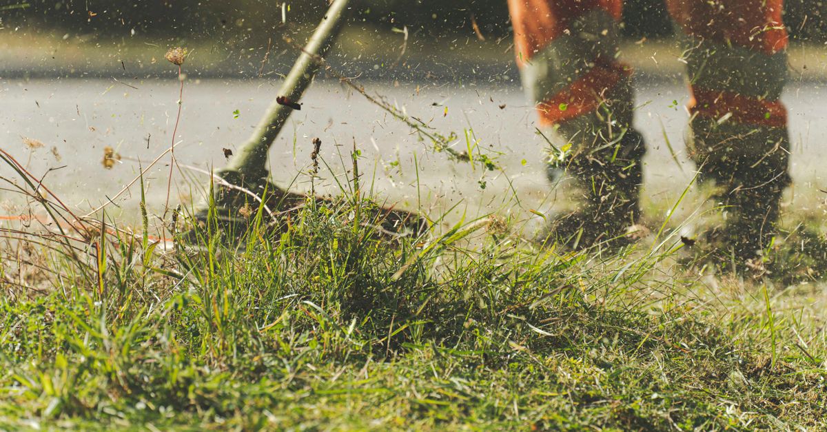 A person using a lawn mower to trim grass in a sunny garden.
