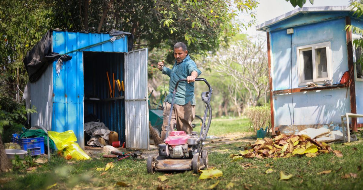 Indian gardener mowing grass by a blue shed, surrounded by leaf piles in a lush garden setting.