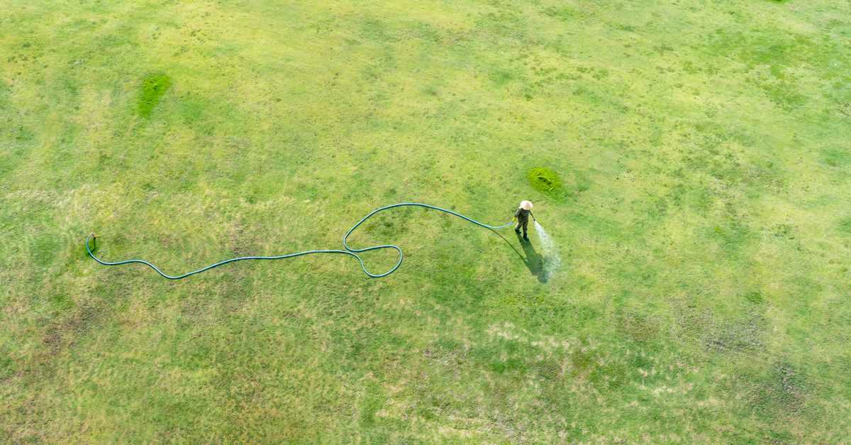 Drone shot of a farmer with a conical hat watering a lush green field using a garden hose.