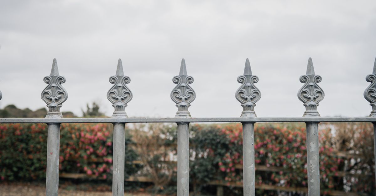 Ornate iron fence with a decorative design in a garden setting.