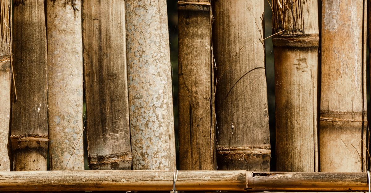 Detailed close-up of a bamboo fence showcasing natural textures and earthy tones.
