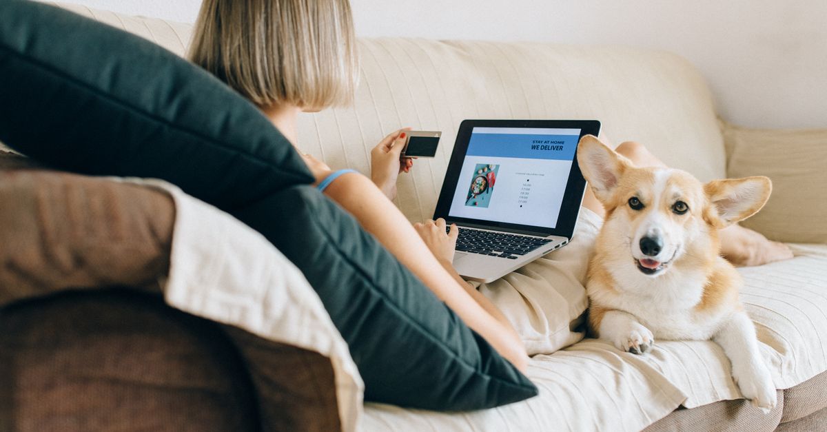 A woman using a laptop for online shopping with her corgi dog beside her on the couch.