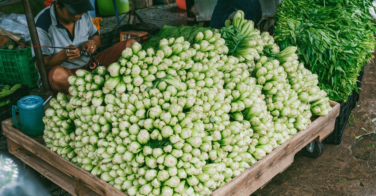 A vibrant outdoor market stall with an abundance of fresh vegetables, showcasing local agriculture.