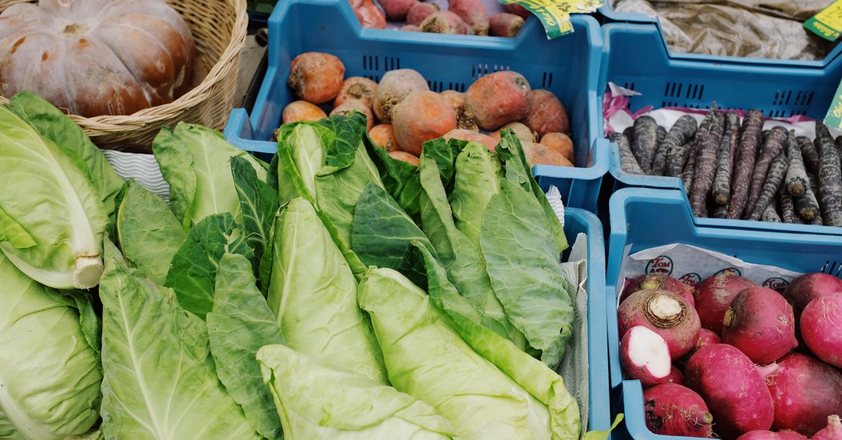 Various vegetables placed in plastic boxes on stall on market on street