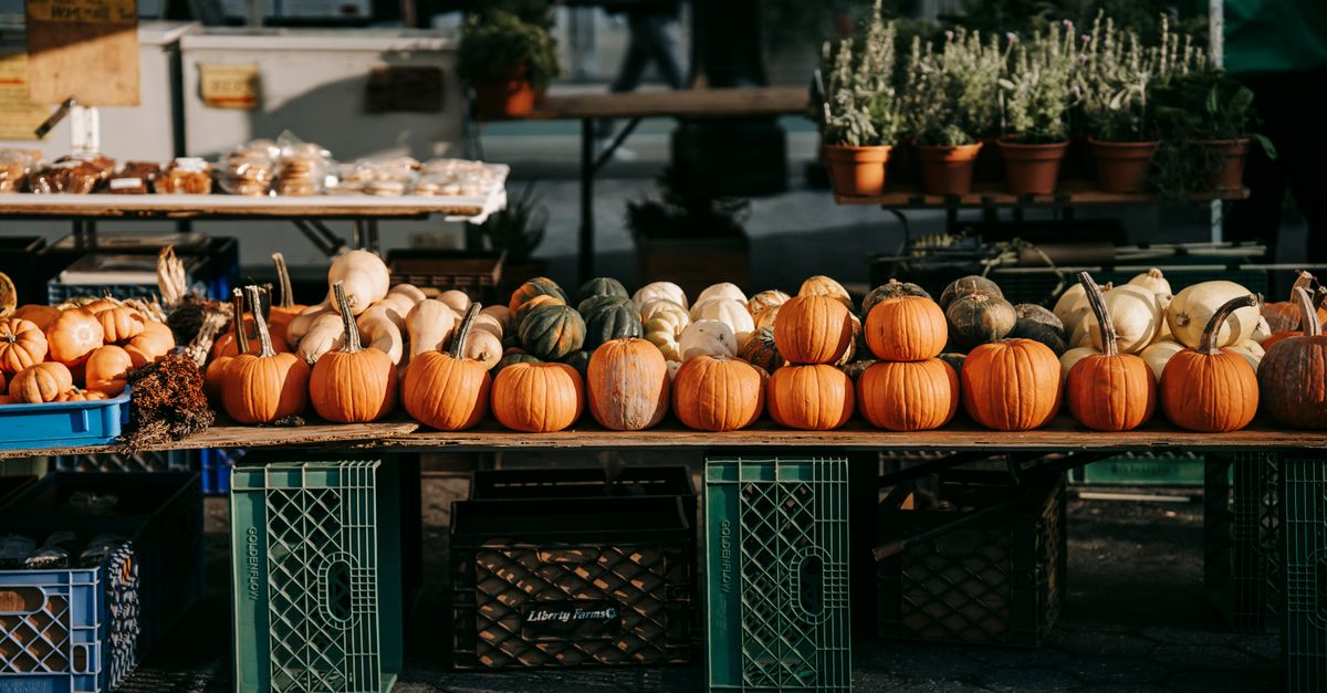 Counter of local market with fresh orange pumpkins placed on street in sunny day