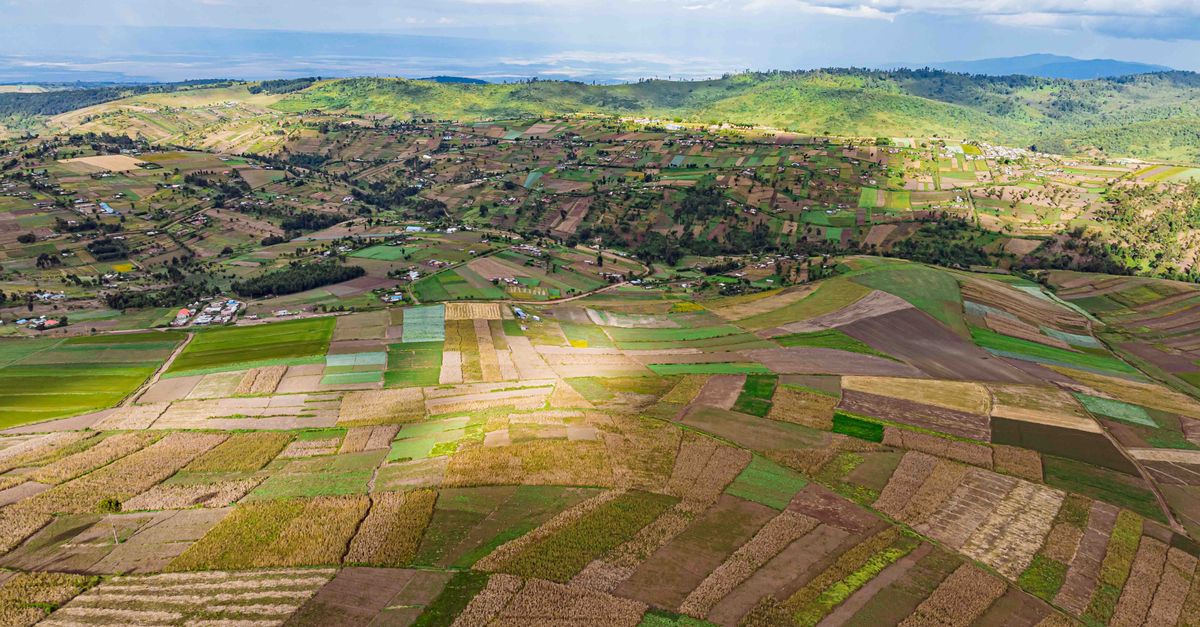Stunning aerial photo showcasing patchwork farms in Mau Narok, Nakuru County, Kenya.