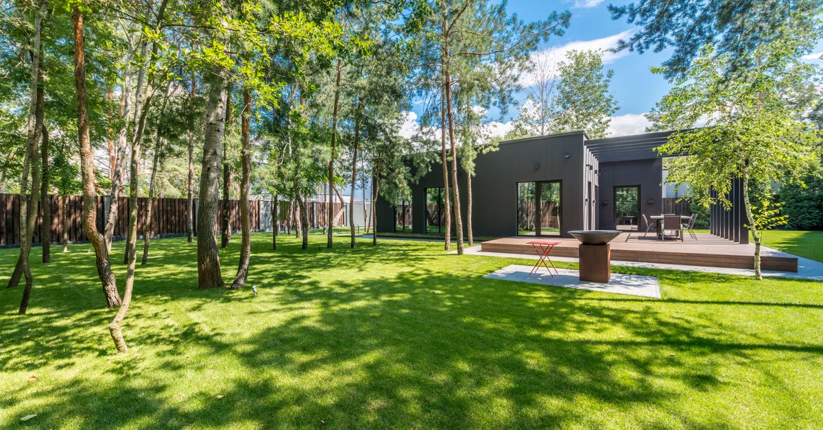 Contemporary home surrounded by trees and vibrant lawn.