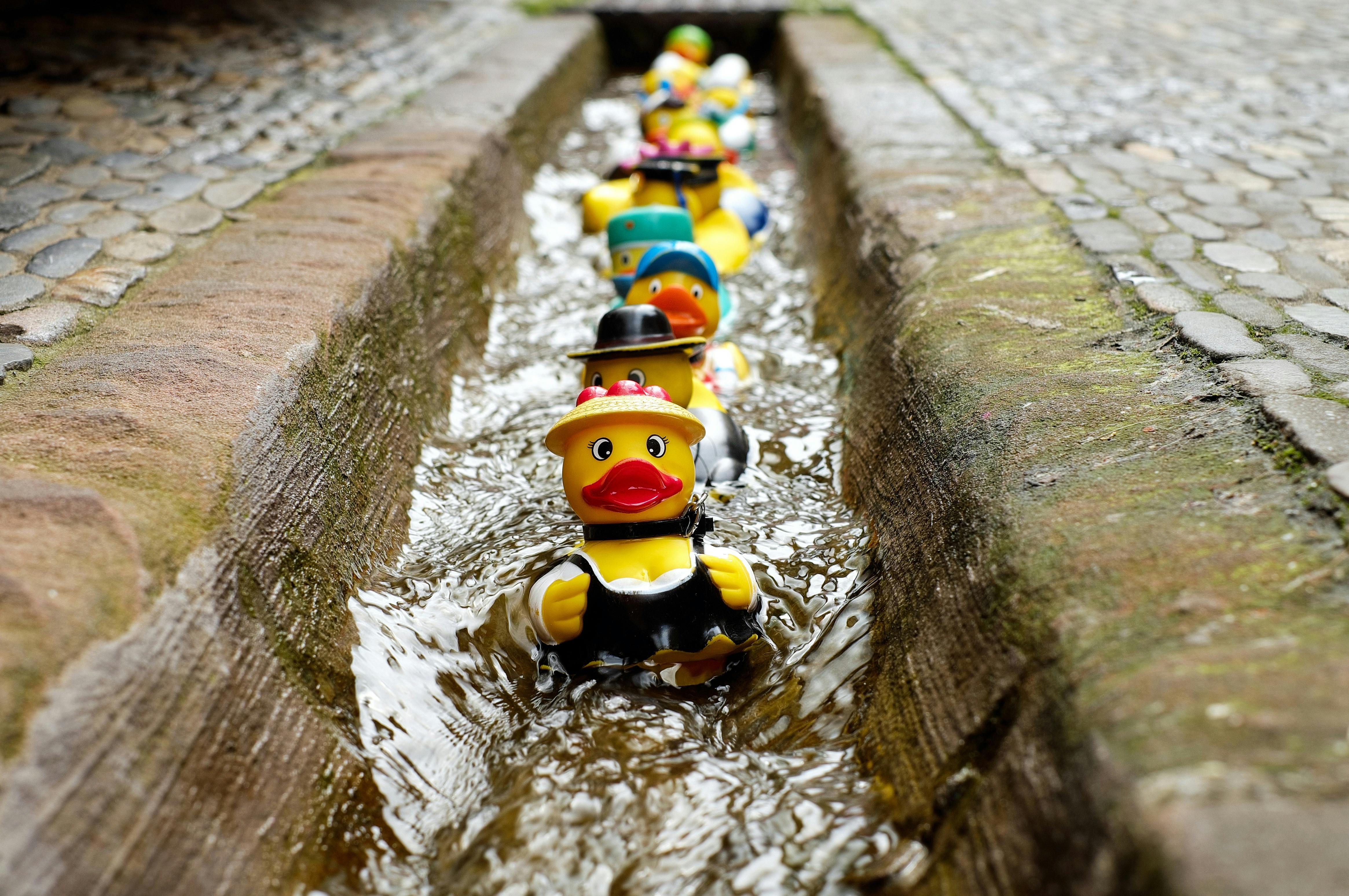 Get Your Ducks in a row with Pushabl